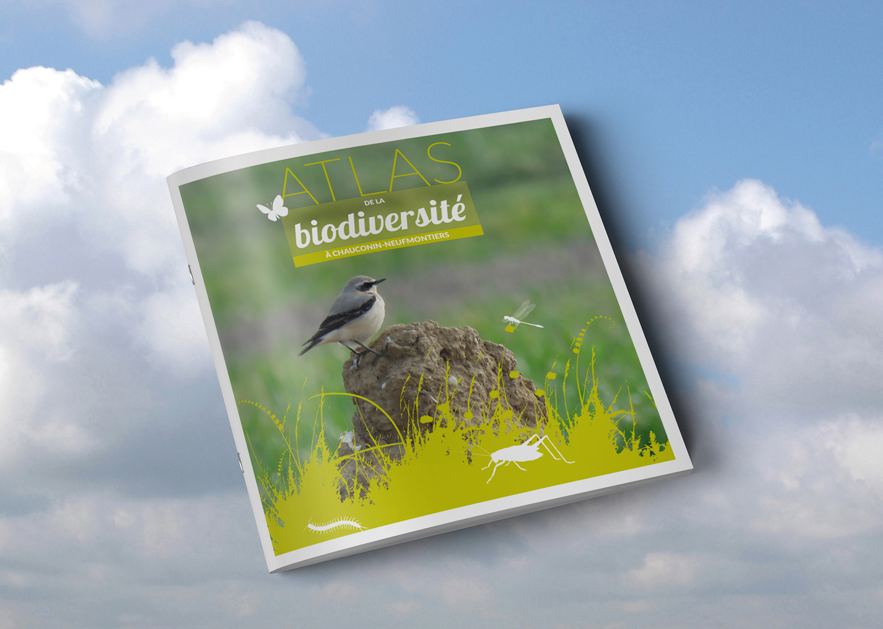 L’atlas de la biodiversité de Chauconin-Neufmontiers